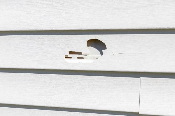 Cost of White Vinyl Siding Repair in Charlotte
