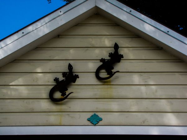 Shiplap Siding Installation in Charlotte